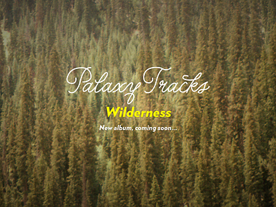 Palaxy Tracks, Wilderness — New album coming soon album holding keith davis young palaxy tracks trees verlag wilderness