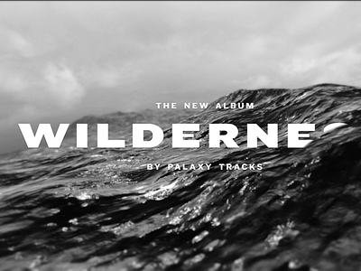 Wilderness Promo Video black and white bw knockout palaxy tracks video wilderness