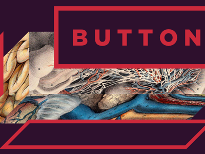 Button Guts art button css3 gotham illustration interactive