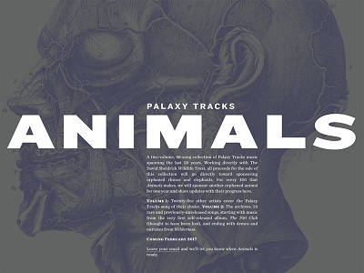 Palaxy Tracks site update animals chronicle knockout palaxy tracks website