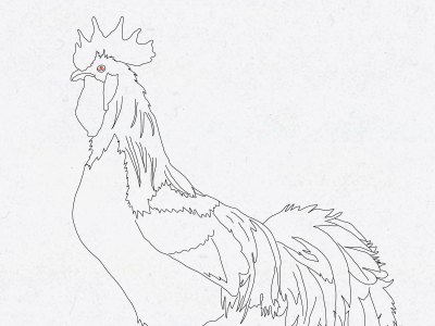 Rooster Drawering drop cap hoefler text line drawing memoir project rooster small caps wacom