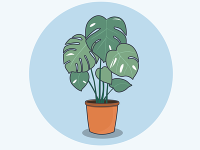 Plant illustration plant vector