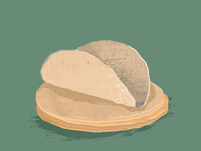 Tortilla hispanic illustration ilustracion mexican tortilla