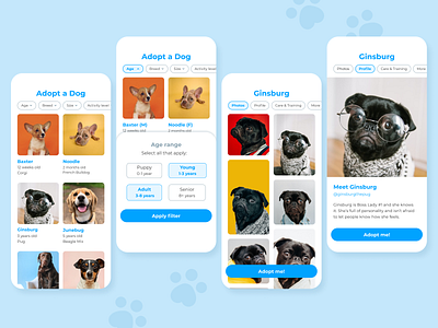 Pet Adoption App app design design filter ui ui design user experience user inteface