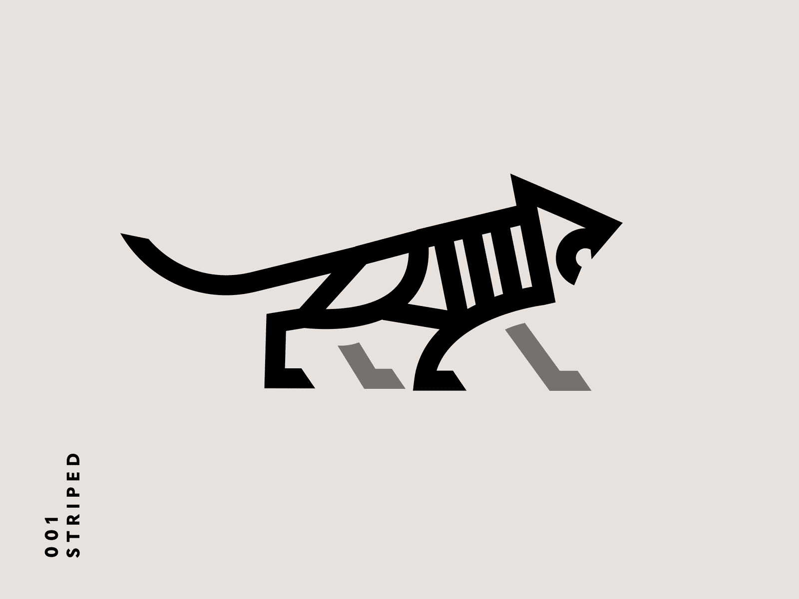 Wild Cat Icon animal brand brand identity branding cat design geometric gif graphic design icon identity logo logo design mark minimal seal set tiger type typography logo