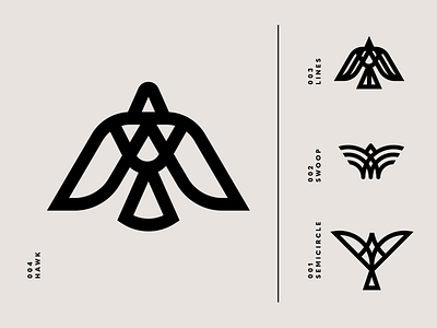 Falcon Logo Concepts bird black brand identity bw