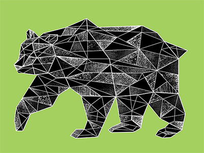 Polygon Bear angles animal bear geometry grain illustration outline polygon texture