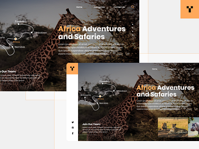 Africa Adventures and Safaries Website