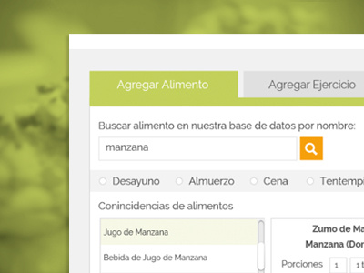 Search Panel Preview bar green search tab ui ux web design