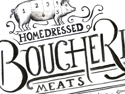 Boucherie - Watercolor Sketch boucherie food handdrawn lettering pig watercolor