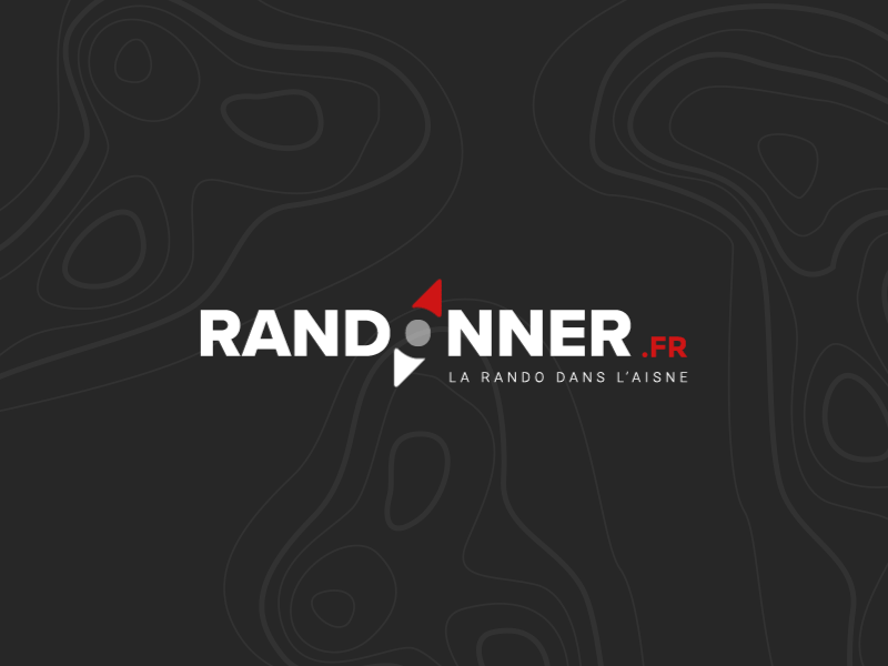Randonner Logo brand branding compass hiking icon logo logo design logotype motion trekking walk