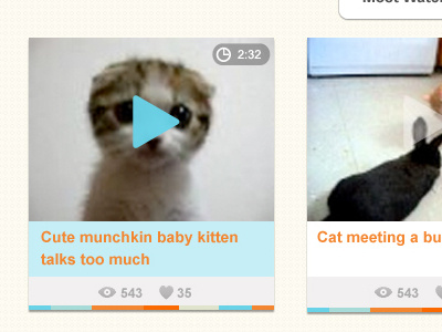 OMGcutie cute grid kitten video