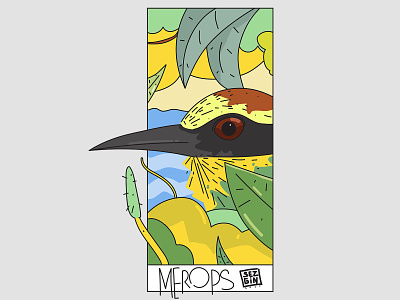 Merops art bird design drawing flat illustration illustration design illustrations illustrator nature vector