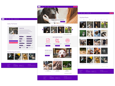 Wireframes for Pet Adoption Website ui uidesign web webdesign website wireframes