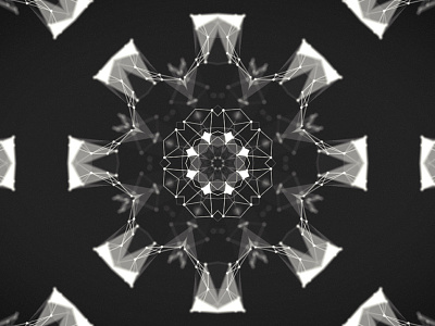 Kaleidoplexus 2d animation experimental form kaleidoscope plexus