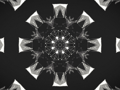 Kaleidoplexus