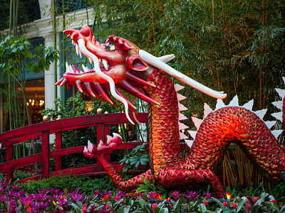 Animatronic Fire Dragon animation animatronics chinese dragon chinese new year cny large scale specialfx