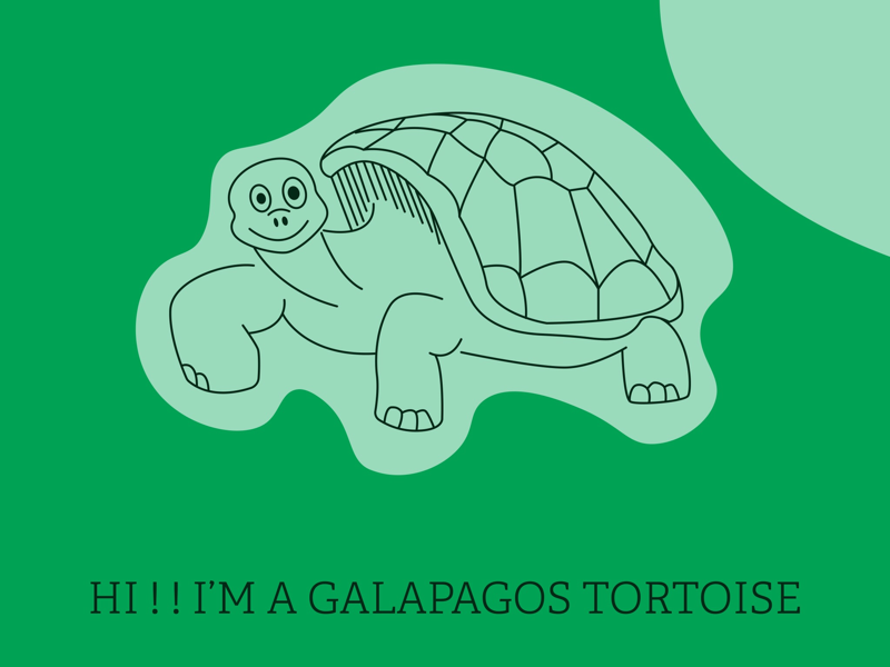 Hi!! I’m a Galapagos Tortoise illustrator vector illustration vector drawing green galapagos tortoise tortoise turtle illustration