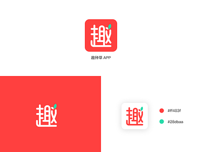 icon app branding