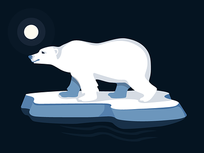 Ours Polar animal arctic bear ice night polar bear winter