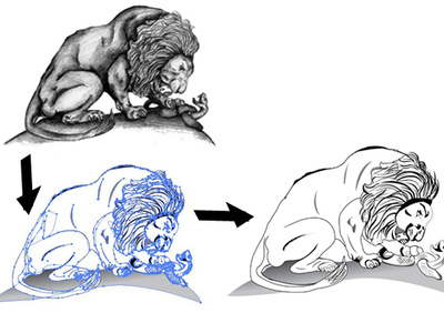 Lion JPEG to VECTOR convert