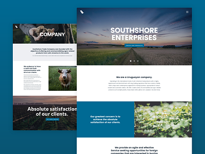 Southshore Company Website design ui web