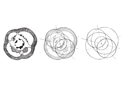 Sliced Bellpepper building math pen school of architecture sketch technical