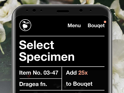 Specimen Selector application concept design experience graphic photoshop sketch typography ui ux webdesign