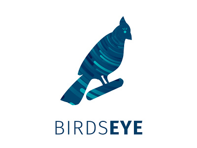Birds Eye Business Intelligence Company branding creative design digital graphic icon illustration logo typography vector white