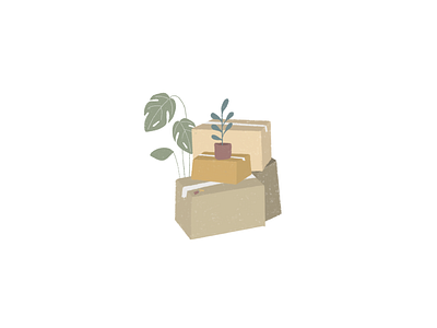 Moving House Plants boxes drawn houseplants illustration moving pencil procreate style