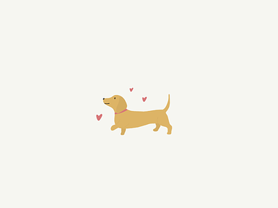 Sausage dog love colourful cute design dog illustration procreate