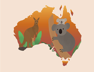 Australia animals australia design illustration kangaroo koala procreate wildfires