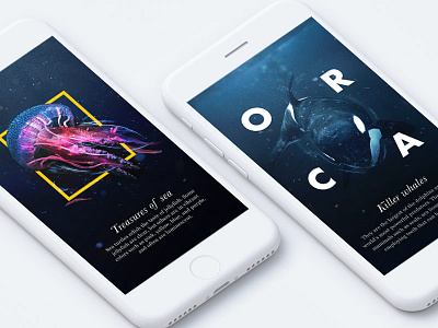 Under The Sea app art direction concept design ios jellyfish nationalgeographic orca photoshop sea typography ui