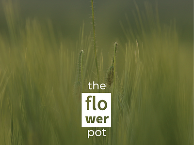 The Flower Pot Cover Image