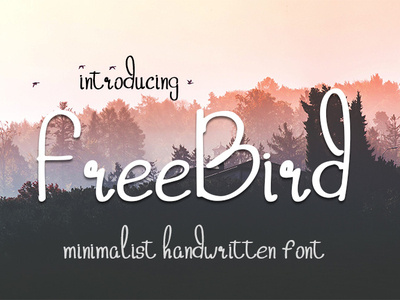 Freebird handwritten minimalist font