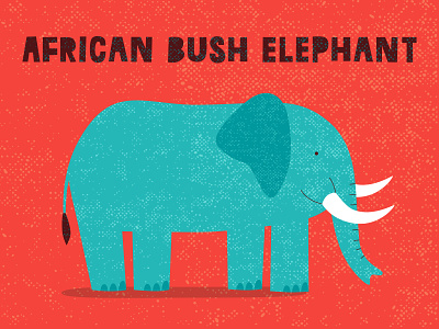 African elephant african animal arfica bush elephant illustration logo mammal minimal trunk tusks vector