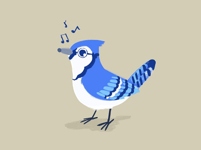 Blue Jay bird blue jay bluejay illustration