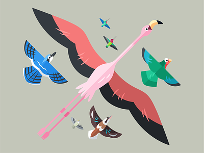 Bird Party 2019 birds blue jay cuban amazon ebook editorial everyaction flamingo goldcrest hummingbird illustration kookaburra vector illustration