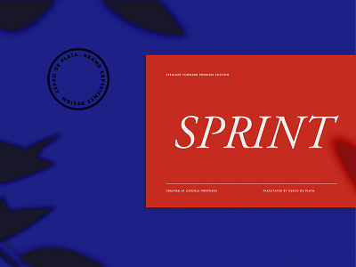 Cerro De Plata Design Sprint blue branding design design agency design sprint flatlay google landing page red shadows sprint squarespace stamp typography visual identity web web design