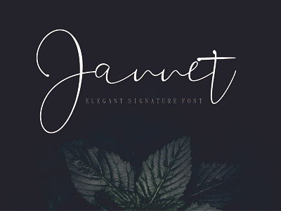 Jannet elegant signature font beauty branding design fahion flat font font duo good illustration logo natural script script bundle script font script fonts script lettering typography ui ux web