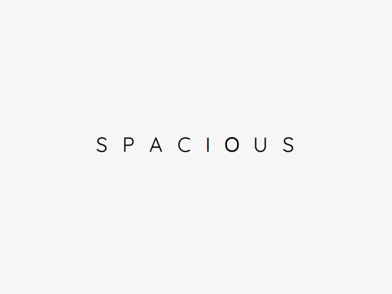 Spacious Concept animation design minimalist spacious text web