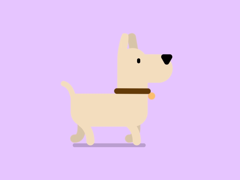 Walk Dog animation character characterdesign design illustration motion graphics vector