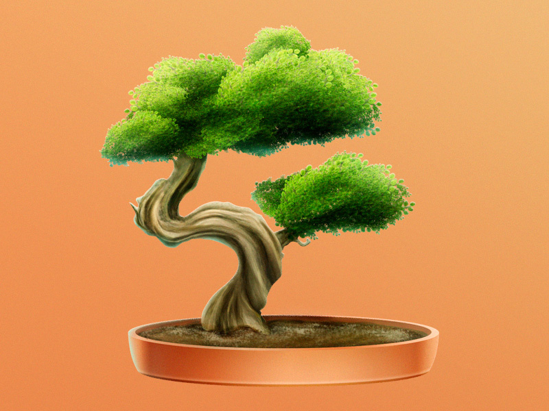 Bonsai bonsai vagina tree symbol slot fliptrick cup sand fillantropy frontmenstudio