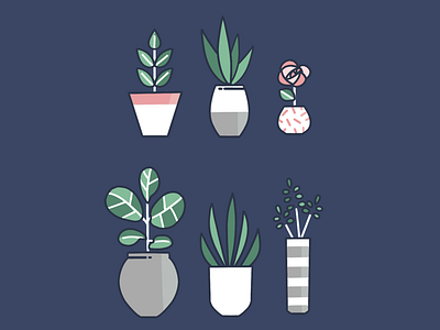 Plants