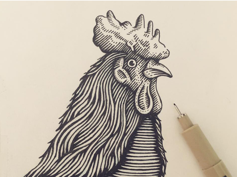 Rooster Etching by Benjamin Garner Dribbble Dribbble