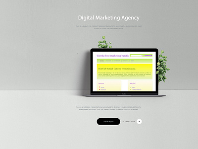 digital marketing website