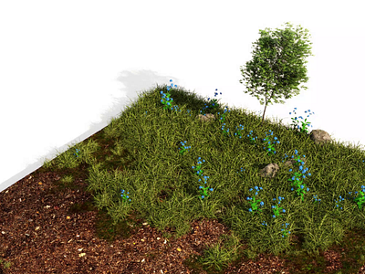 Grow fast 3d animation grass octane octanerender plants