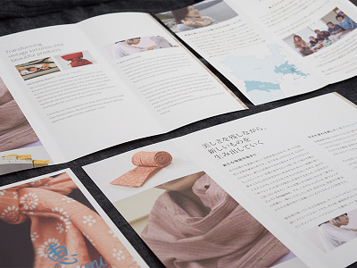 Megumi Project - Brochure