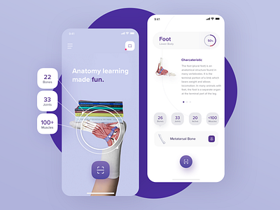 Human Anatomy ui