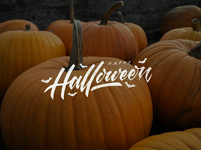 Halloween design halloween handlettering lettering pumpkin